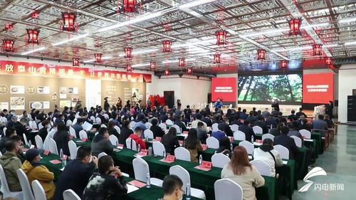 泰山黄精 工业 旅游 智能工厂投产
